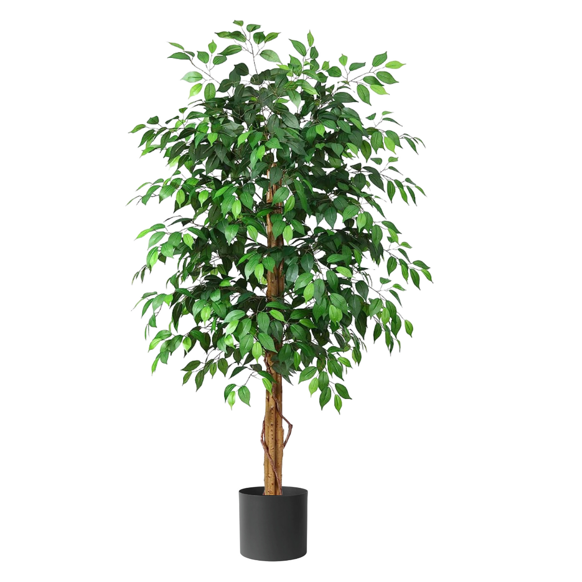 Artificial Ficus Microcarp 165cm