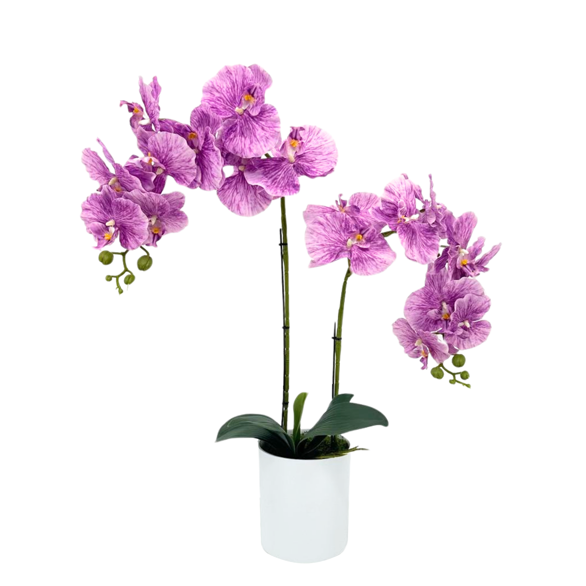 Artificial Purple Orchid in White Plastic Pot (65cm)