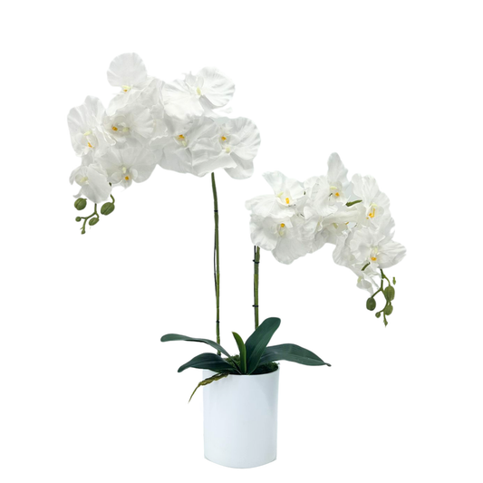 Artificial White Orchid in White Plastic Pot (65cm)