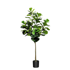 Artificial Fiddle Fig Plant (170cm)