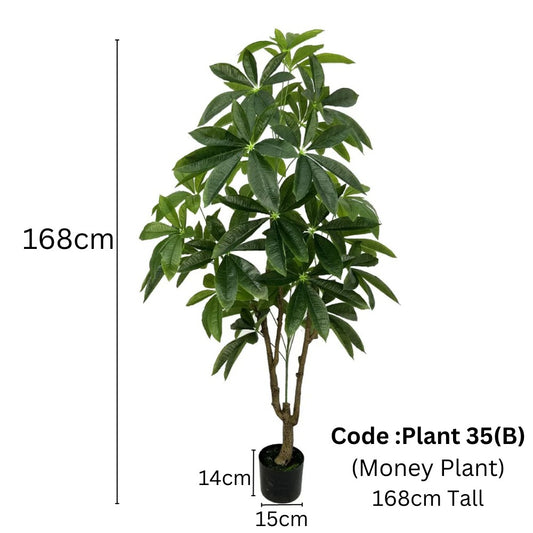 Artificial Money Plant 168cm Tall