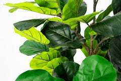 Artificial Fiddle Leaf Fig Tree 160cm tall