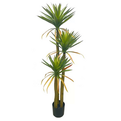 Artificial Dracaena Draco 160cm