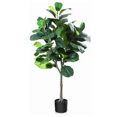 Artificial Fiddle Fig 150cm Tall