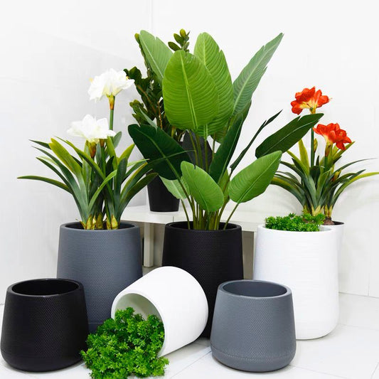 Resin Round Plant Pot