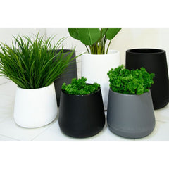 Resin Round Plant Pot (White)