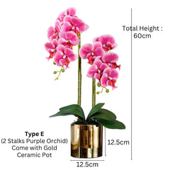 Orchid in Pot - Glossy Gold (60cm)