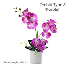 Orchid in Pot - Snow White (44cm)