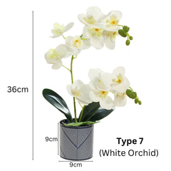 Orchid in Pot - Black and Grey Stripe (44cm)