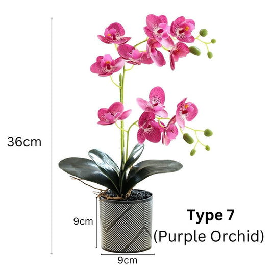 Orchid in Pot - Black and Grey Stripe (44cm)