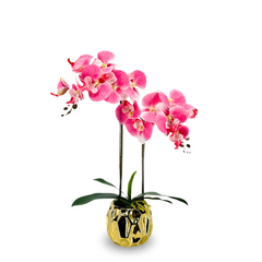 Artificial Pink Orchid in Ceramic Gold Pot (50cm)