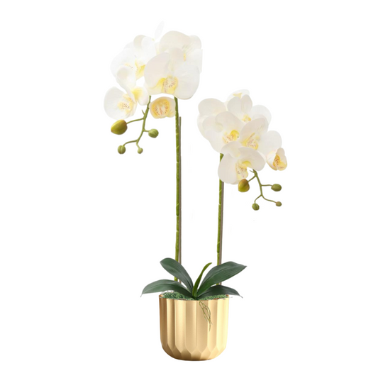 Artificial Orchid in Resin Gold Pot - (65cm)