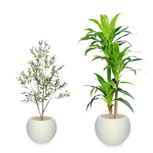 Simple Elegant White Bowl Design Resin Plant Pot