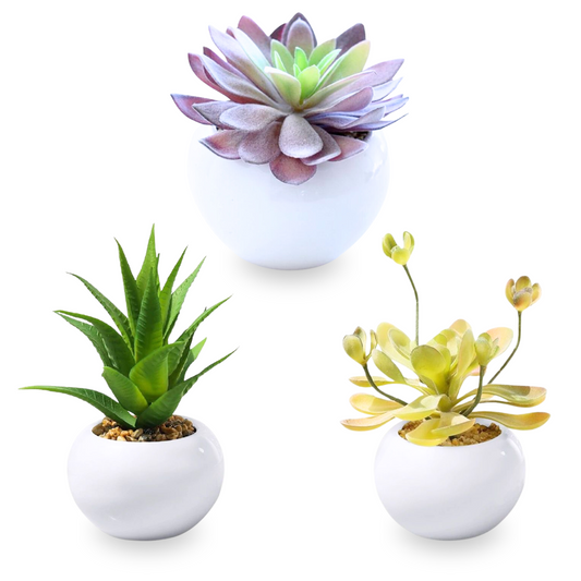 Artificial small succulent in Ceramic Pot