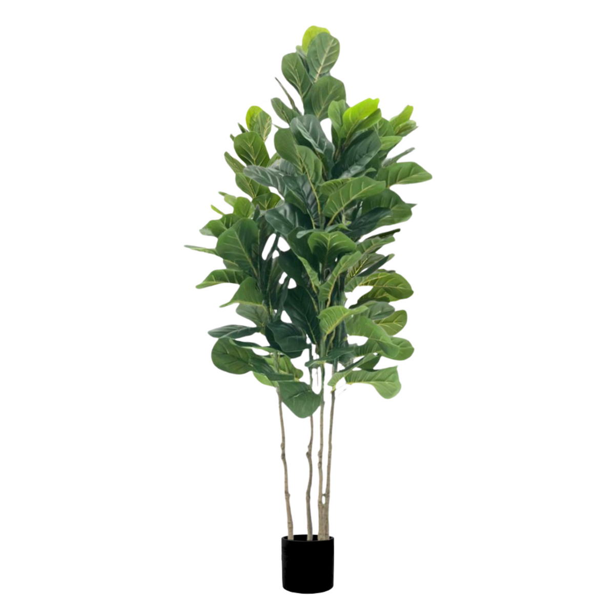 Artificial Fiddle Fig (4 stems) 170cm